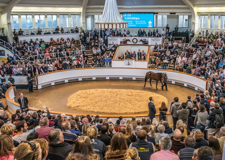 Tattersalls Book 1 Marlhill House Stud