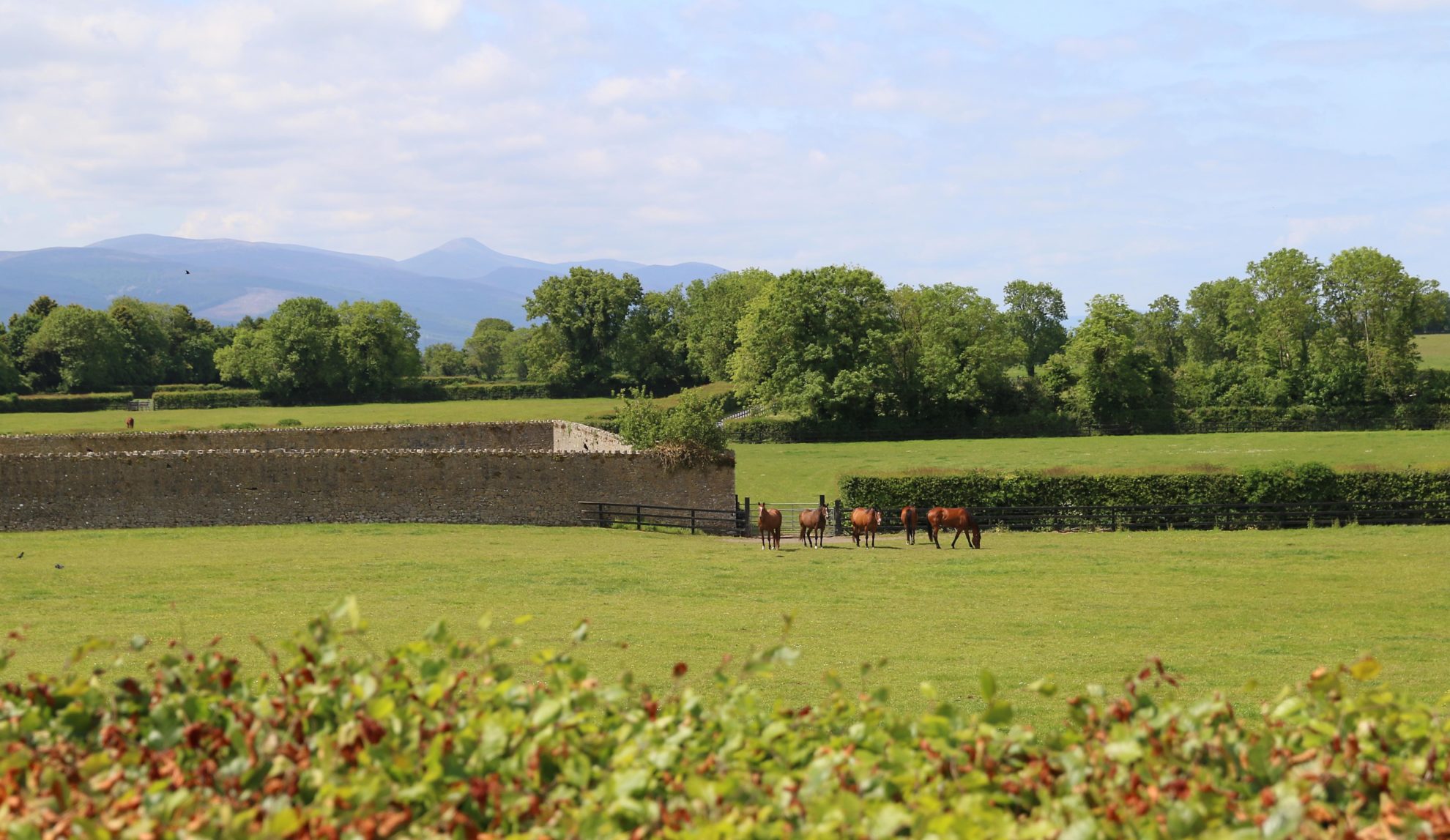 Promising 2yo HMAS Perth breaks through at the Curragh