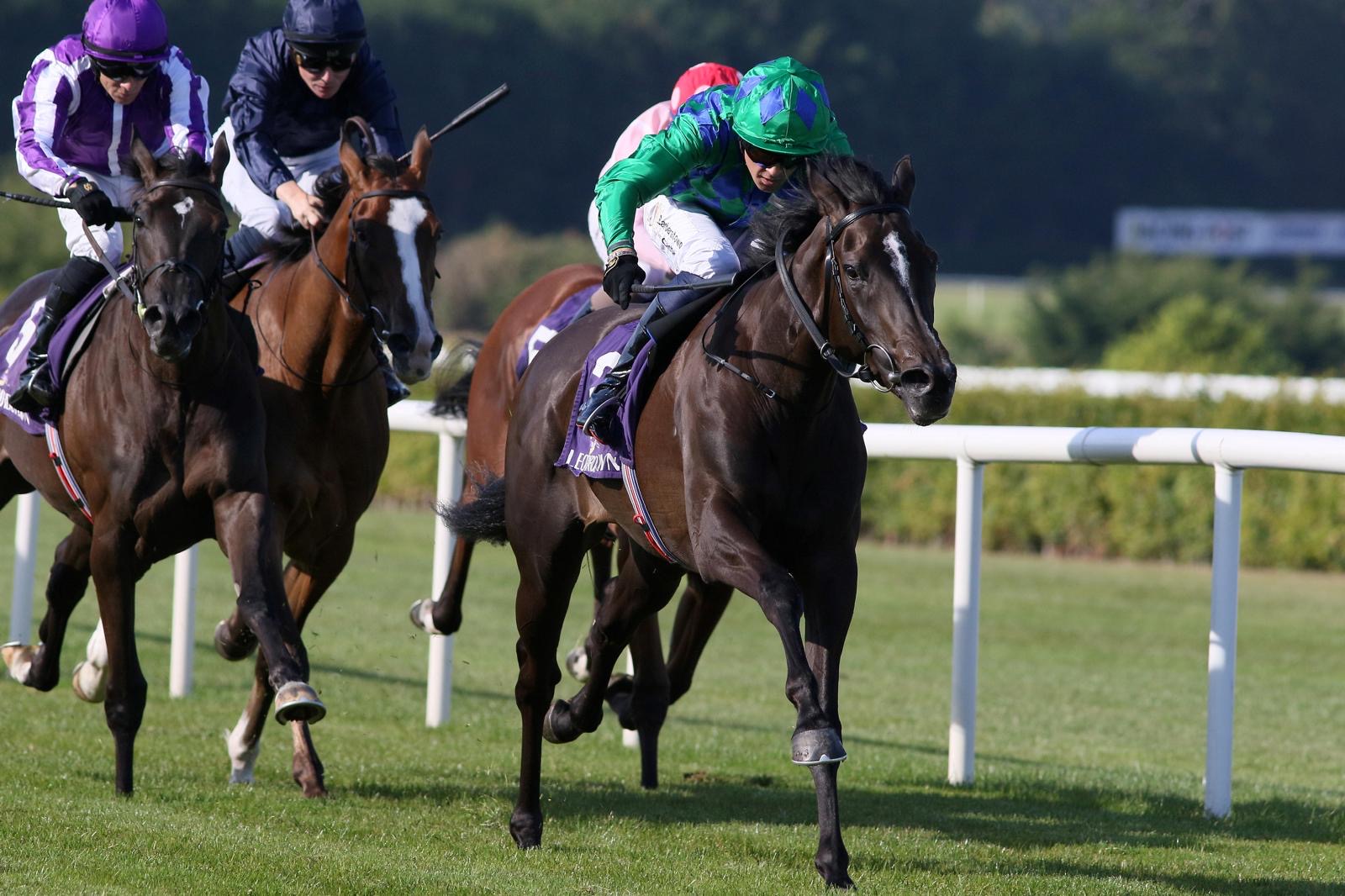 Homebred Bellesque looks exciting at Leopardstown