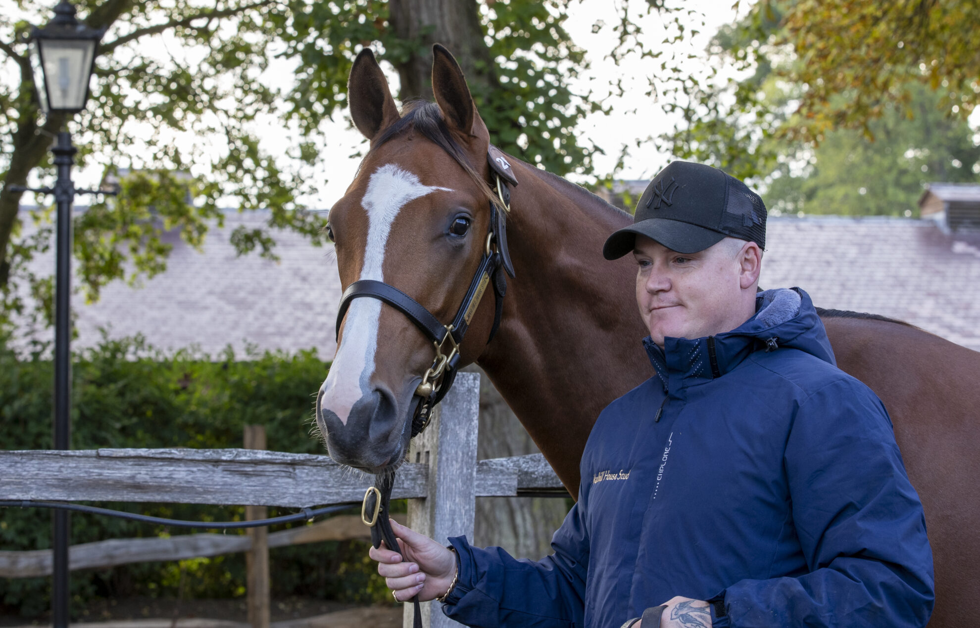 Justify colt sells to MV Magnier at Tatts Book 1 colt