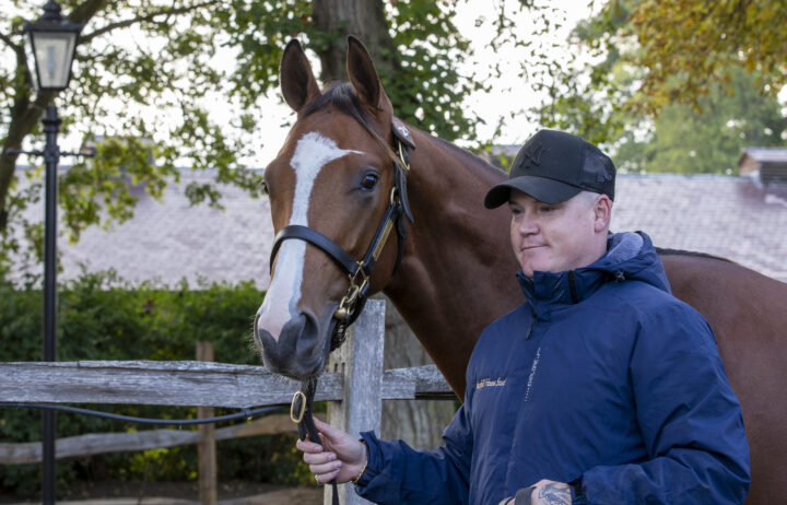 Justify colt sells to MV Magnier at Tatts Book 1 colt